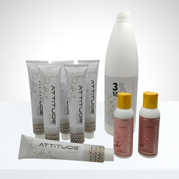 Retouch Kit - ATTITUDE Colors
