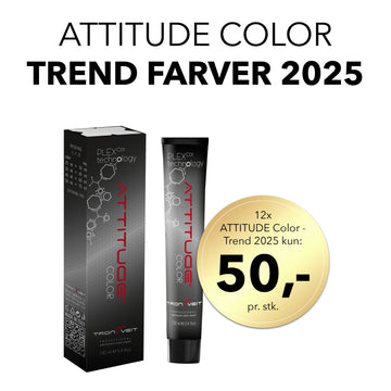 ATTITUDE Color - Trend 2025